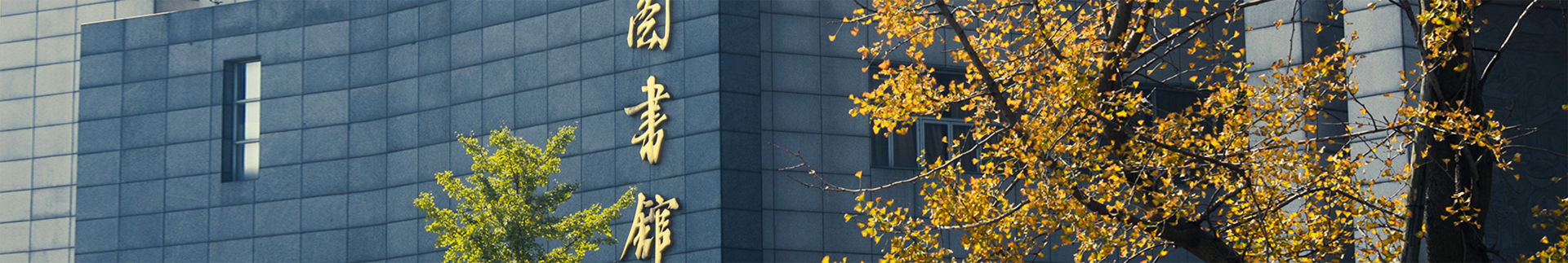 红灯区banner