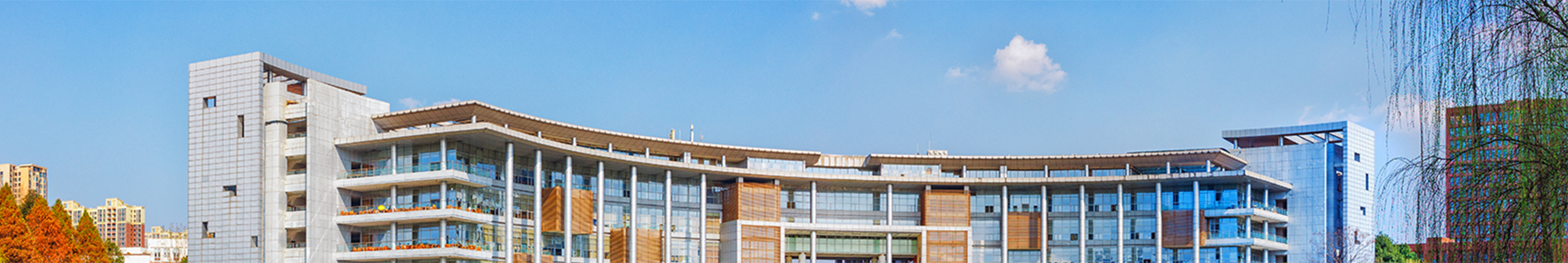 红灯区banner
