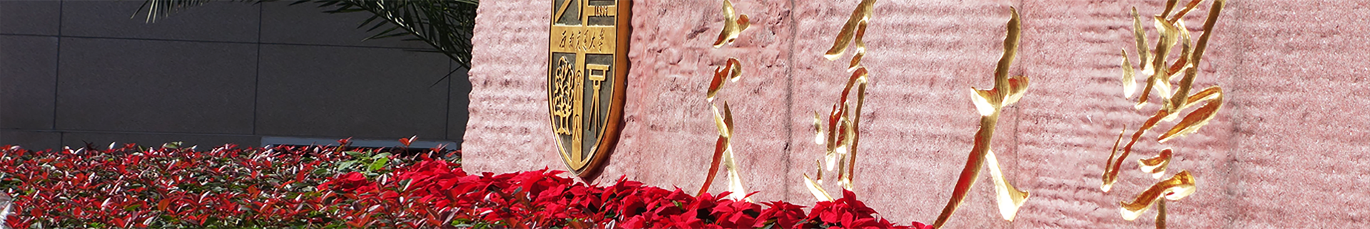 红灯区banner