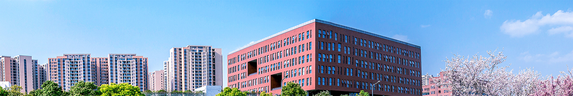 红灯区banner